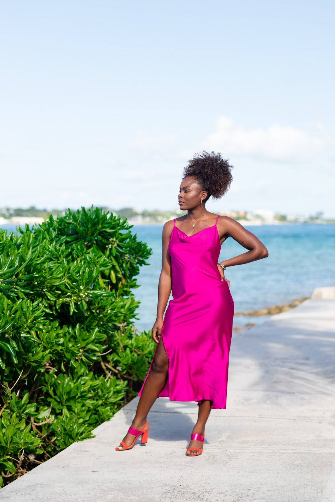 Bougainvillea Satin Dress-BAH